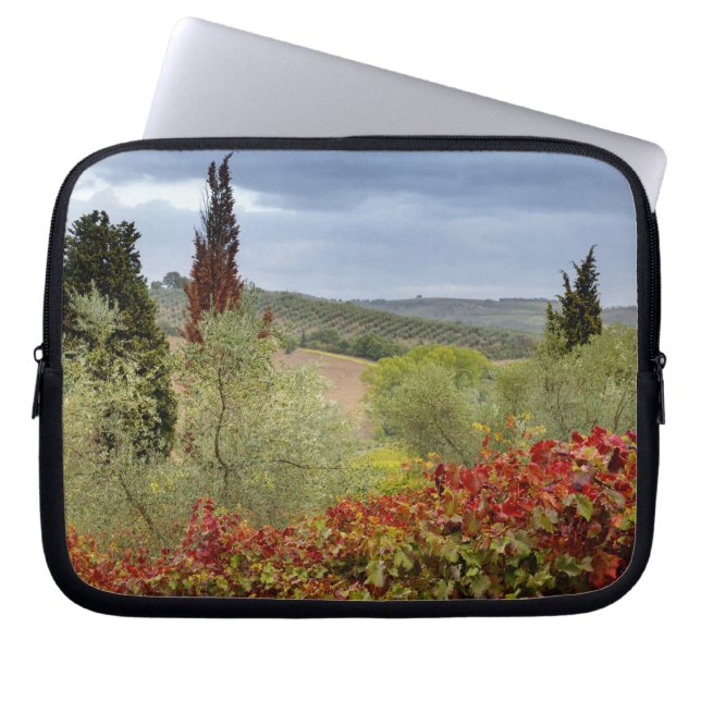 Wijntuin bij Montalcino, Toscane, Italië Laptop Sleeve (Voorkant)