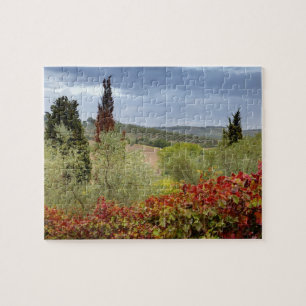 Wijntuin bij Montalcino, Toscane, Italië Legpuzzel