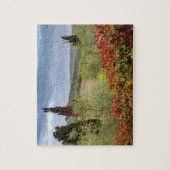 Wijntuin bij Montalcino, Toscane, Italië Legpuzzel (Verticaal)