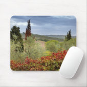 Wijntuin bij Montalcino, Toscane, Italië Muismat (Met muis)