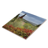 Wijntuin bij Montalcino, Toscane, Italië Tegeltje (Zijkant)