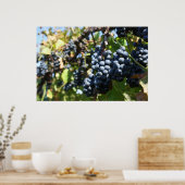 Wijntuin voor druiven poster (Keuken)