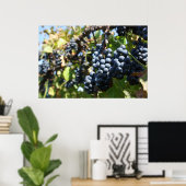 Wijntuin voor druiven poster (Thuiskantoor)
