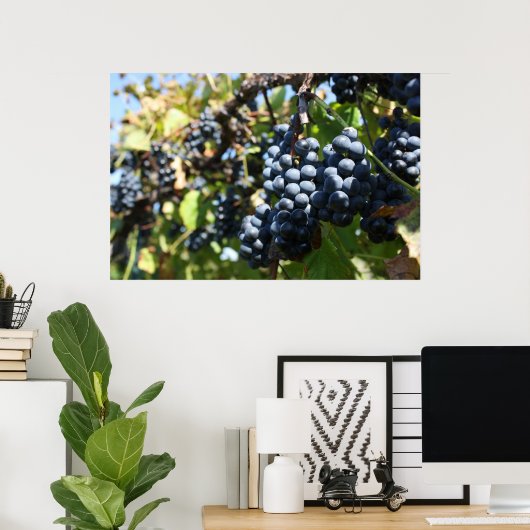 Wijntuin voor druiven poster (Thuiskantoor)