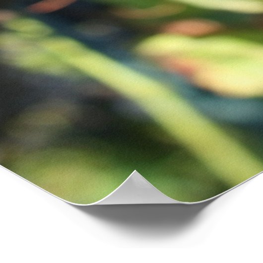 Wijntuin voor druiven poster (Hoek)