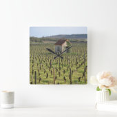 Wijnwerf in Bourgogne Frankrijk Vierkante Klok (Huis)