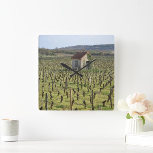 Wijnwerf in Bourgogne Frankrijk Vierkante Klok (Huis)