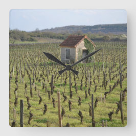 Wijnwerf in Bourgogne Frankrijk Vierkante Klok
