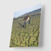 Wijnwerf in Bourgogne Frankrijk Vierkante Klok (Hoek)