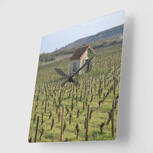 Wijnwerf in Bourgogne Frankrijk Vierkante Klok (Hoek)