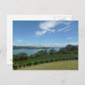 Wijnwerf in Nieuw-Zeeland Briefkaart (Voorkant / Achterkant)