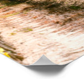 Wijnwerf, Kaapstad, Western Kaapstad, Zuid-Afrika Poster (Hoek)