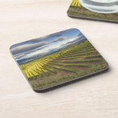 Wijnwerf. Napa Valley. Napa Napa County Bier Onderzetter (Linkerzijde)