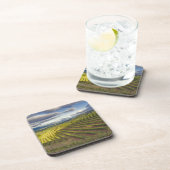 Wijnwerf. Napa Valley. Napa Napa County Bier Onderzetter (Rechterzijde)