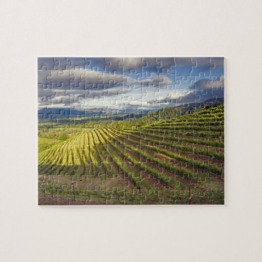Wijnwerf. Napa Valley. Napa Napa County Legpuzzel (Horizontaal)