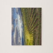 Wijnwerf. Napa Valley. Napa Napa County Legpuzzel (Verticaal)