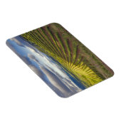 Wijnwerf. Napa Valley. Napa Napa County Magneet (Rechterzijde)