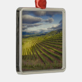 Wijnwerf. Napa Valley. Napa Napa County Metalen Ornament (Rechts)