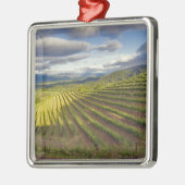 Wijnwerf. Napa Valley. Napa Napa County Metalen Ornament (Links)