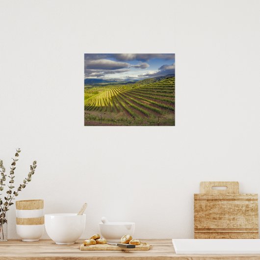 Wijnwerf. Napa Valley. Napa Napa County Poster (Keuken)