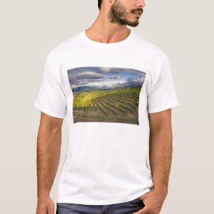 Wijnwerf. Napa Valley. Napa Napa County T-shirt