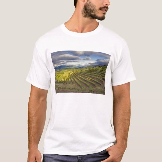Wijnwerf. Napa Valley. Napa Napa County T-shirt (Voorkant)