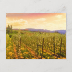 Wijnwerf op Dawn Kelowna British Columbia Canada Briefkaart