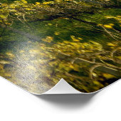 Wijnwerf, Toscane, Italië Foto Afdruk (Hoek)