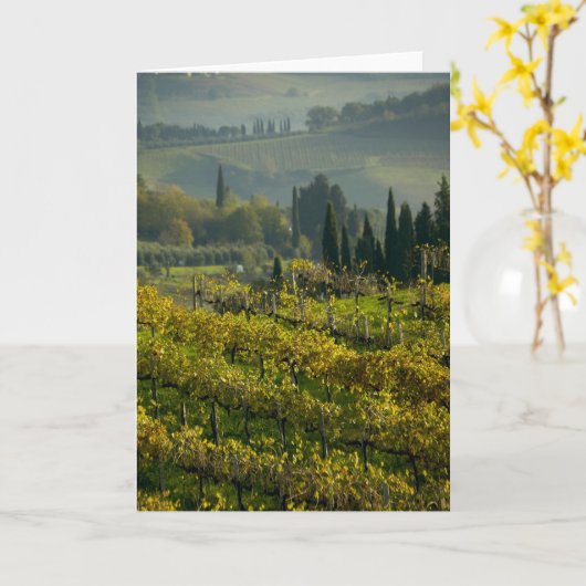 Wijnwerf, Toscane, Italië Kaart (Gele Bloem)