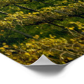 Wijnwerf, Toscane, Italië Poster (Hoek)