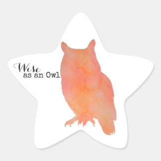 Wijs als een Uil Typografische Waterverf Ster Sticker