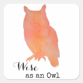 Wijs als een Uil Typografische Waterverf Vierkante Sticker