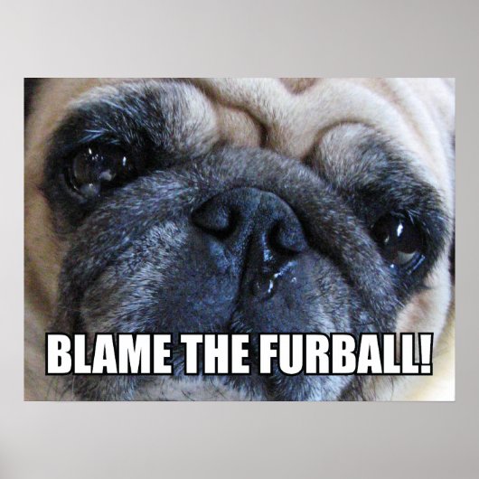 WIJS DE HARIGE BAL DE SCHULD TOE! ALLERGIE MEME POSTER (Voorkant)