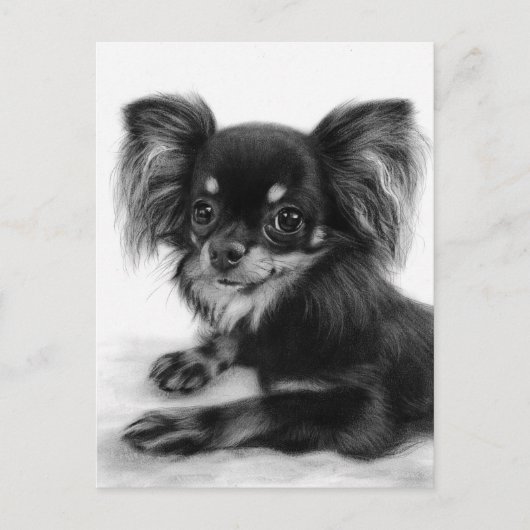 Wijs Ogen - Handgeschilderd Chihuahuaportret Briefkaart (Voorkant)