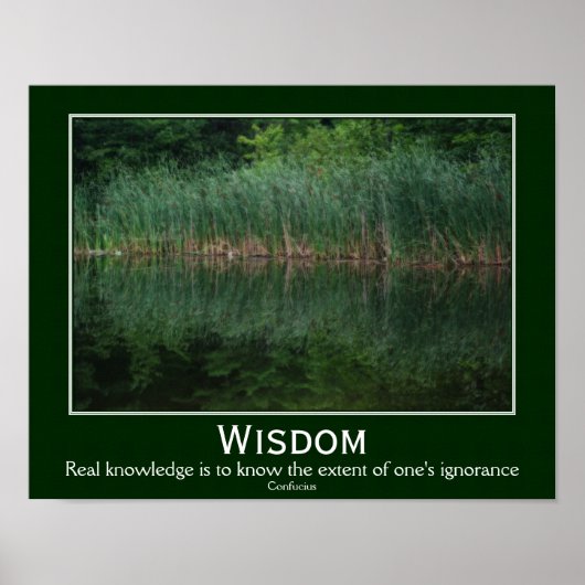 Wijsheid Confucius Quote Cattails Inspirerend Poster (Voorkant)