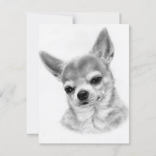 Wijsheid in ogen - met de hand geschilderd Chihuah Briefkaart