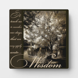 wijsheid plaque fotoplaat