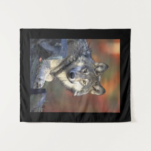 Wijsheid van de Wolf Wandkleed (Voorkant (horizontaal))