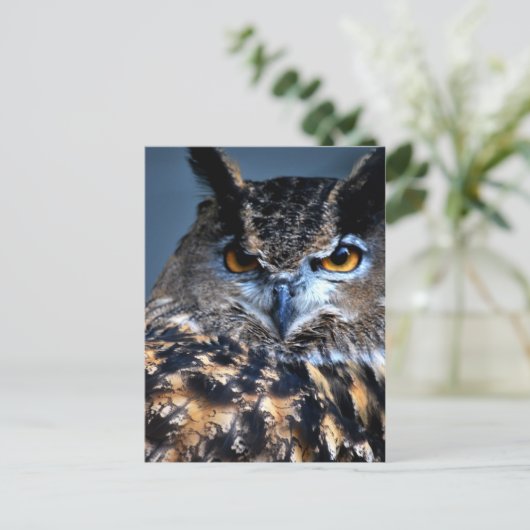 Wijze Briefkaart (Staand voorkant)