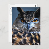 Wijze Briefkaart (Voorkant / Achterkant)