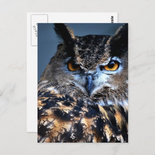 Wijze Briefkaart (Voorkant / Achterkant)