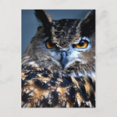 Wijze Briefkaart (Voorkant)