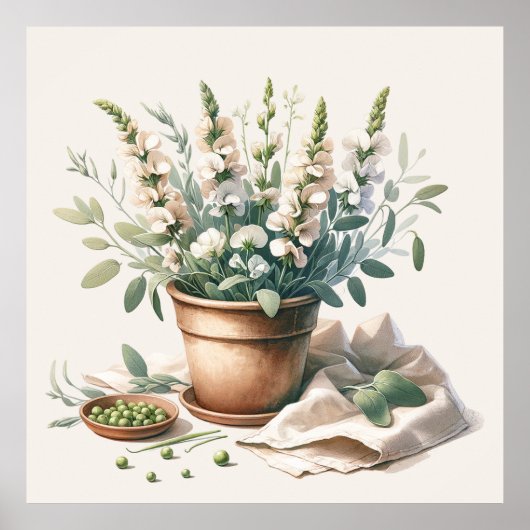 Wijze en zoete erwtenbloemen in kleipot poster (Voorkant)