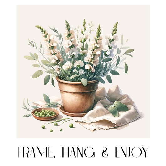 Wijze en zoete erwtenbloemen in kleipot poster