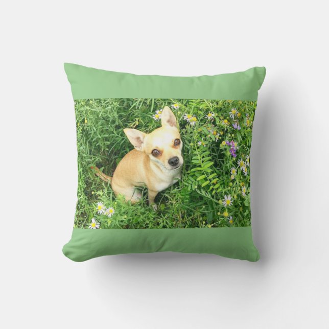 Wijze groene chihuahua gooi kussen. kussen (Voorkant)