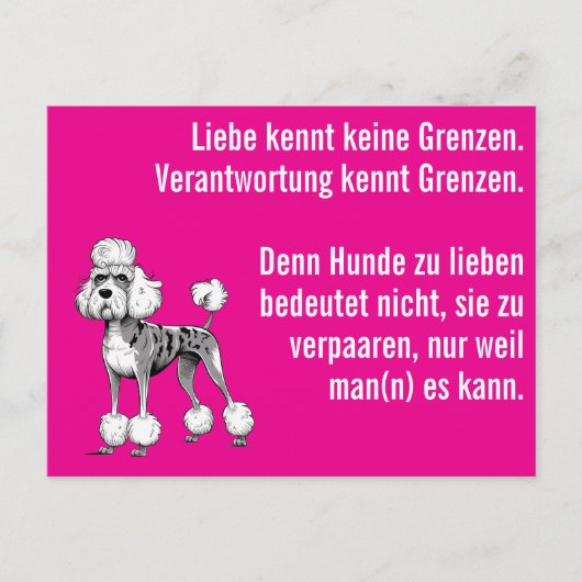 Wijze moderne Dog Briefkaart (Voorkant)