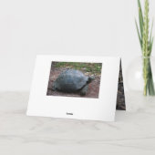 Wijze oude schildpad Happy Birthday Humor Kaart (Achterkant)