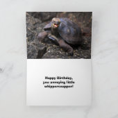 Wijze oude schildpad Happy Birthday Humor Kaart (Binnen)
