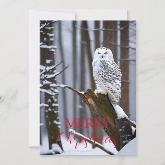 Wijze Uil in een Snowy Wonderland Feestdagenkaart (Voorkant)