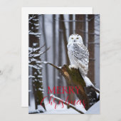 Wijze Uil in een Snowy Wonderland Feestdagenkaart (Voorkant / Achterkant)